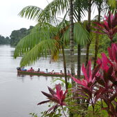 Surinam: Kanu auf dem Suriname River