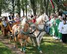 Pferdekutsche mit zwei Haflingern